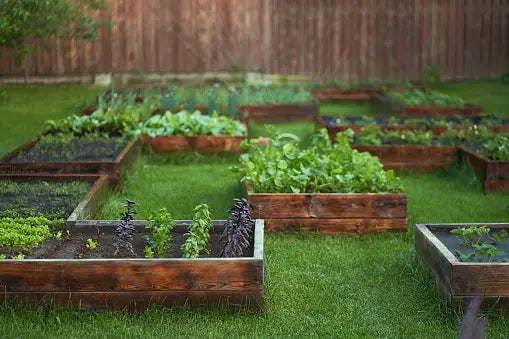 El Arte de la Jardinería: Consejos para Crear tu Propio Oasis Verde
