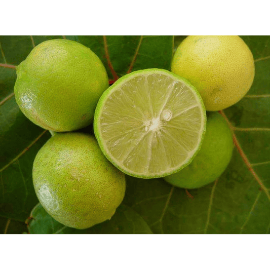 LIMON DE PICA 1,20 A 1,60